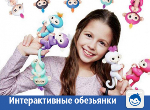 Интерактивные обезьянки готовы позабавить детей в Волжском Интерактивные обезьянки готовы позабавить детей в Волжском