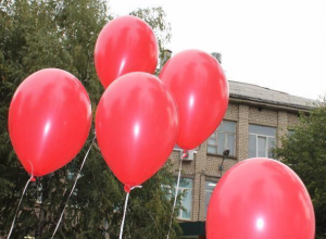 Стало возможным оформлять своего ребенка в детский сад через интернет в Волжском Стало возможным оформлять своего ребенка в детский сад через интернет в Волжском
