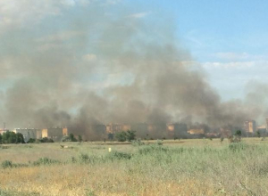 В Волжском горит сухостой В Волжском горит сухостой