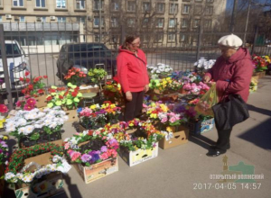 Торговцев, заполонивших улицы нелегальными цветами, оштрафовали в Волжском Торговцев, заполонивших улицы нелегальными цветами, оштрафовали в Волжском