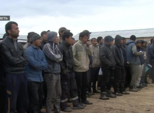 Сотни мигрантов травили овощи опасными химикатами в Волгоградской области Сотни мигрантов травили овощи опасными химикатами в Волгоградской области