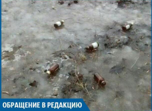 После дождя вместо грибочков во дворе выросли фунфырики, - волжанка После дождя вместо грибочков во дворе выросли фунфырики, - волжанка