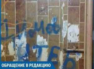 Нам не делали ремонт в подъезде 10 лет, - волжанка Нам не делали ремонт в подъезде 10 лет, - волжанка