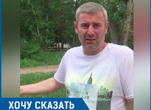 Многолетний лес уничтожают ради новых домов в Киляковке, - среднеахтубинец Многолетний лес уничтожают ради новых домов в Киляковке, - среднеахтубинец
