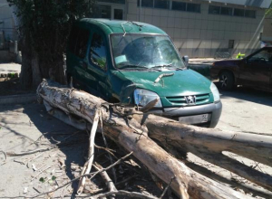 У вокзала в Волжском рядом с авто рухнуло дерево У вокзала в Волжском рядом с авто рухнуло дерево