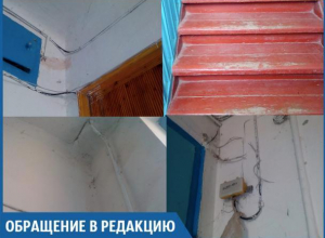 В стенах квартир живут мыши и огромные тараканы, - волжанка В стенах квартир живут мыши и огромные тараканы, - волжанка