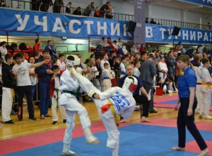 Волжские каратисты и краснослободцы стали чемпионами России Волжские каратисты и краснослободцы стали чемпионами России