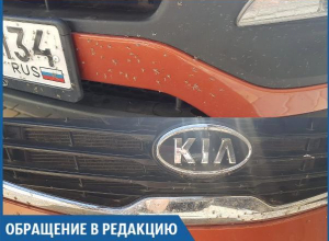 Ощущение, что мэрия специально нас испытывает, - волжанка Ощущение, что мэрия специально нас испытывает, - волжанка