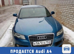 Девятилетнюю любимицу Audi A4 продает Олег в Волжском Девятилетнюю любимицу Audi A4 продает Олег в Волжском
