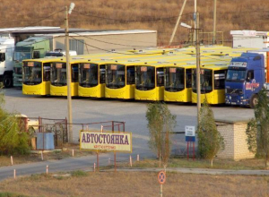 Волжане сделали фото автобусов, которые ждут отправки в другие регионы Волжане сделали фото автобусов, которые ждут отправки в другие регионы
