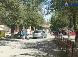 Автомобилист, разъезжающий по тротуару, напугал волжанку Автомобилист, разъезжающий по тротуару, напугал волжанку