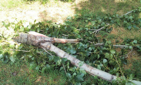 В Волжском снова подводят печальные итоги разгула стихии В Волжском снова подводят печальные итоги разгула стихии