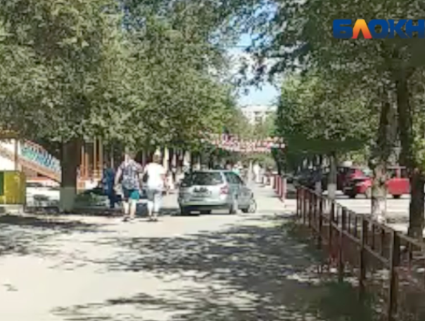 Автомобилист, разъезжающий по тротуару, напугал волжанку Автомобилист, разъезжающий по тротуару, напугал волжанку