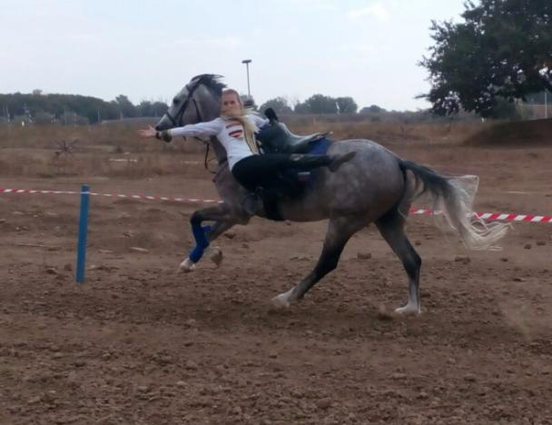 Конно-спортивный праздник начался опасными трюками в Волжском Конно-спортивный праздник начался опасными трюками в Волжском