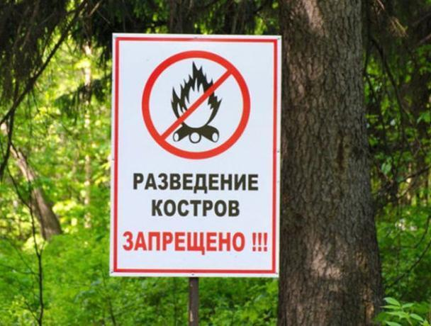 Волжане останутся без шашлыка Волжане останутся без шашлыка