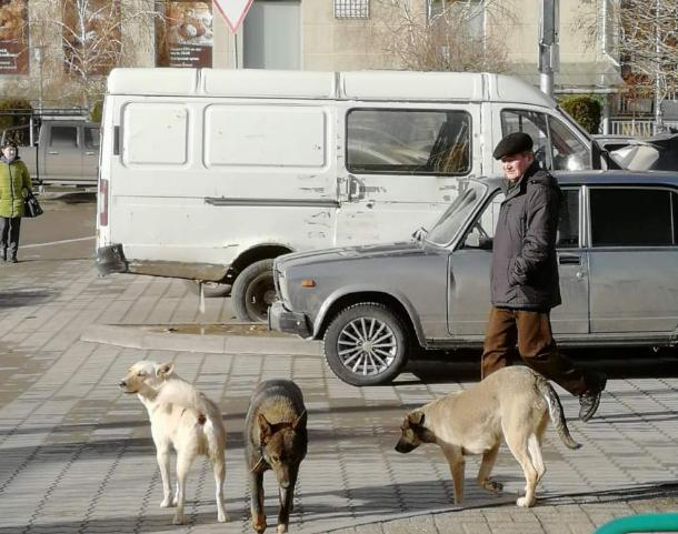 «Администрация не обращает внимания на жалобы», - волжанка «Администрация не обращает внимания на жалобы», - волжанка