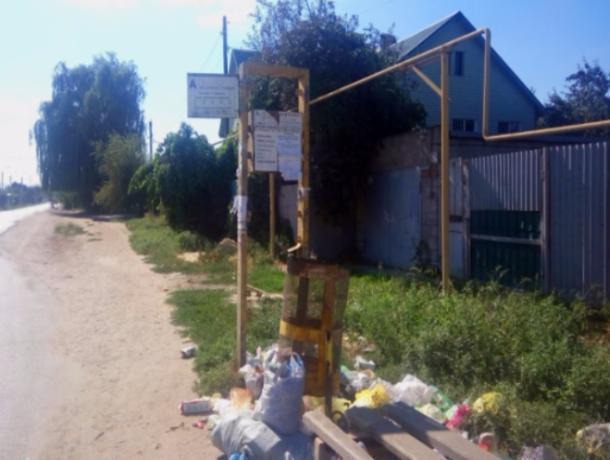 От годовых залежей мусора на остановке острова Зеленый завелись опасные крысы От годовых залежей мусора на остановке острова Зеленый завелись опасные крысы