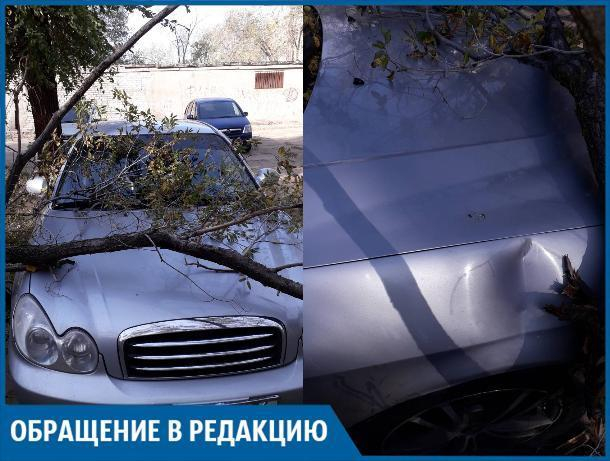 Мы намерены подать в суд на администрацию, - волжанка Мы намерены подать в суд на администрацию, - волжанка