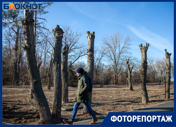 «Обрезание» в Волжском прошло успешно «Обрезание» в Волжском прошло успешно