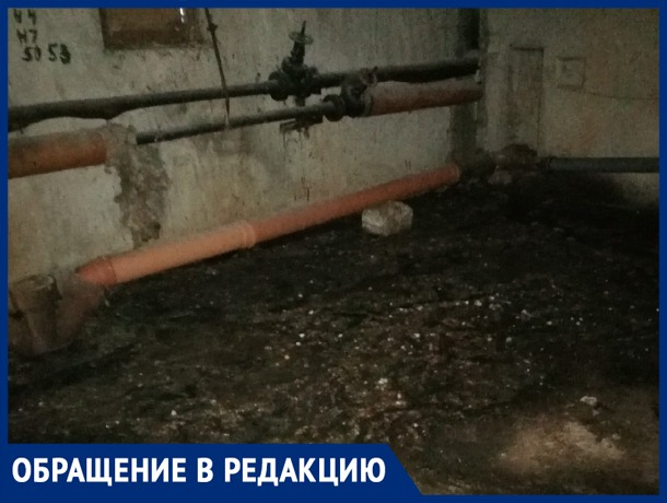 «Я когда туда зашла, там тараканы, комары, вонь сыростью», - волжанка «Я когда туда зашла, там тараканы, комары, вонь сыростью», - волжанка