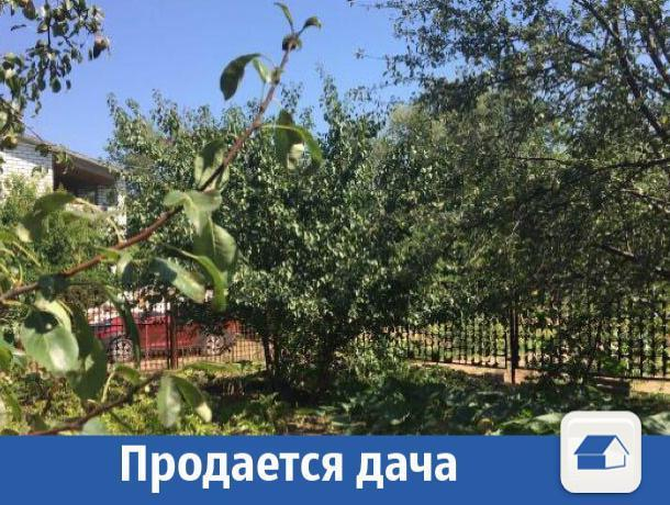 Недорого для волжан продают дачу с большим садом Недорого для волжан продают дачу с большим садом