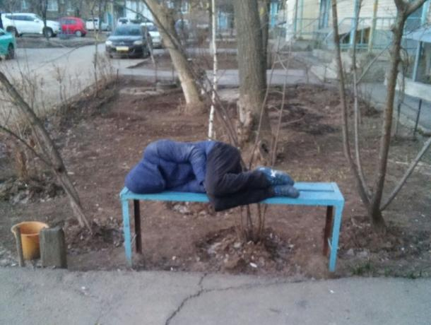 Спящий «скамелье» найден во дворе Волжского Спящий «скамелье» найден во дворе Волжского