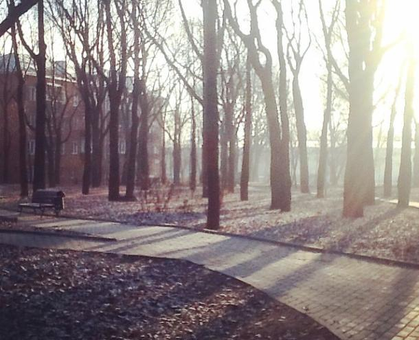 В день терпимости в Волжском похолодает В день терпимости в Волжском похолодает