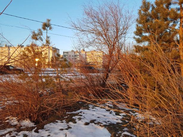В понедельник утром в Волжском подморозит В понедельник утром в Волжском подморозит