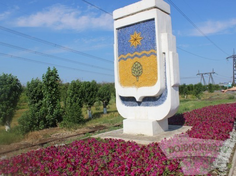 В Волжском появятся самые красивые цветочные клумбы В Волжском появятся самые красивые цветочные клумбы