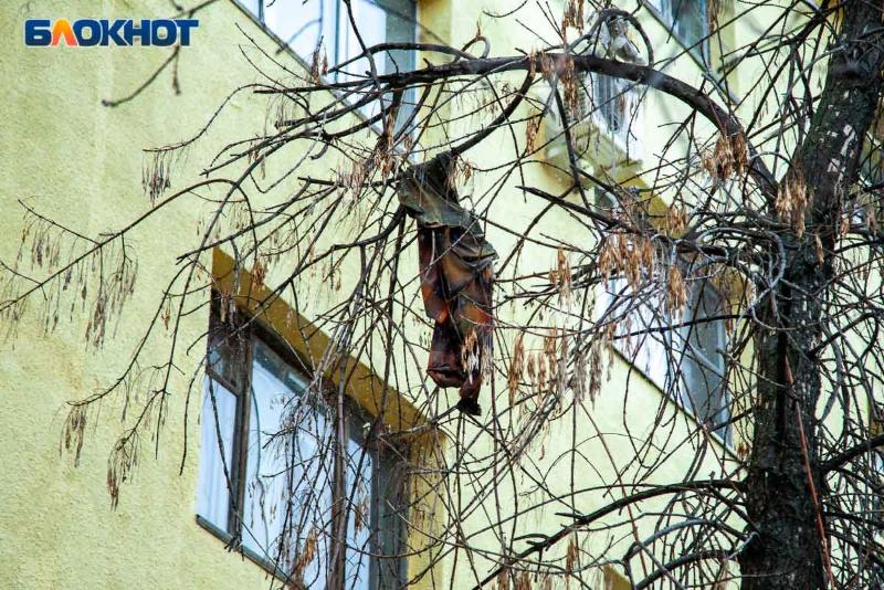 5-летний ребенок выпал из окна 2 этажа в Волжском 5-летний ребенок выпал из окна 2 этажа в Волжском