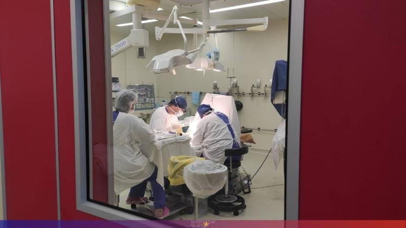 14 человек скончались за сутки: страшная статистика по COVID-19 в Волгоградской области 14 человек скончались за сутки: страшная статистика по COVID-19 в Волгоградской области