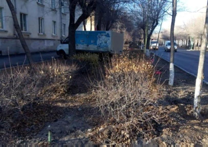 В Волжском сбили школьницу на пешеходном переходе В Волжском сбили школьницу на пешеходном переходе