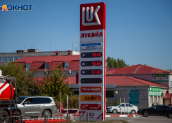 Бензин подорожал на 6,4% за начало года в Волгоградской области