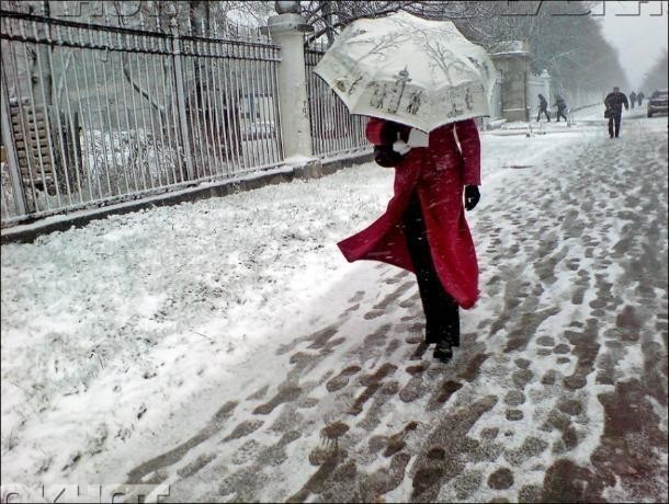 Дождь со снегом картинки прикольные