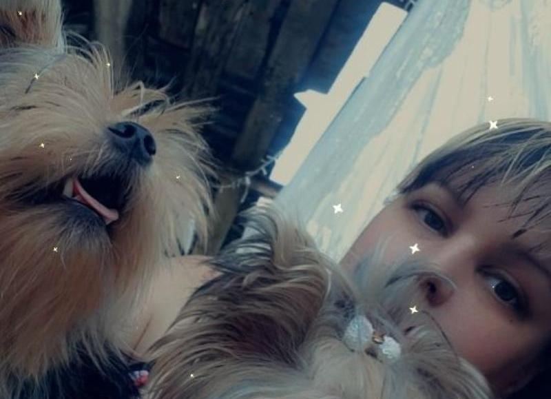 Бросил умирающую собаку и детей: чем закончилась трагедия на дороге в Волжском