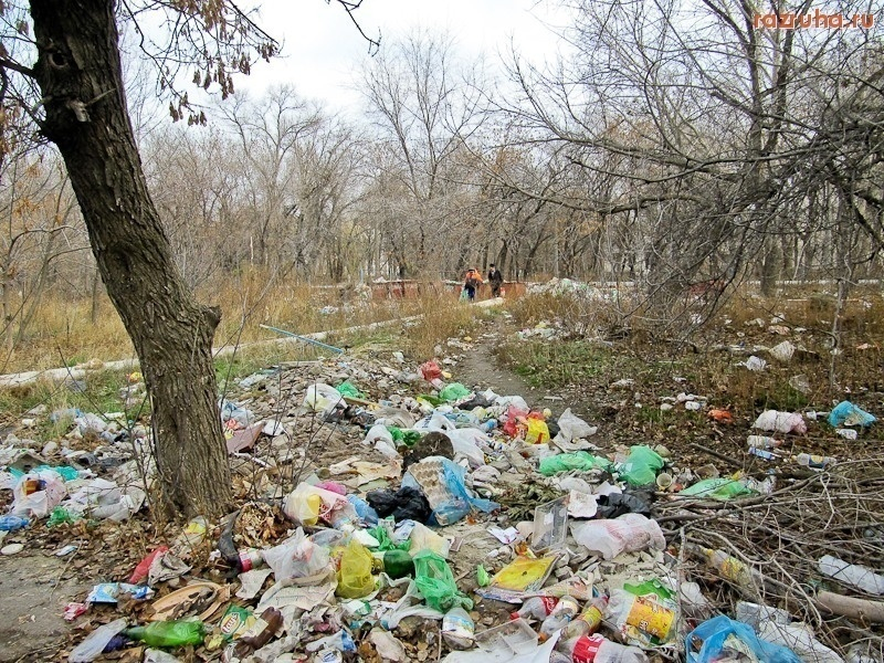 В Волгограде «мусорный вопрос» остается актуальным