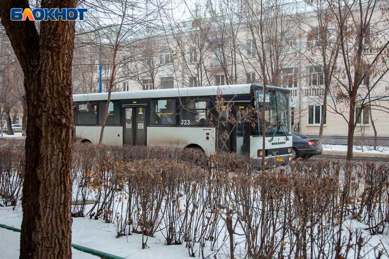 В Волжском урезают количество автобусов и трамваев: подробности