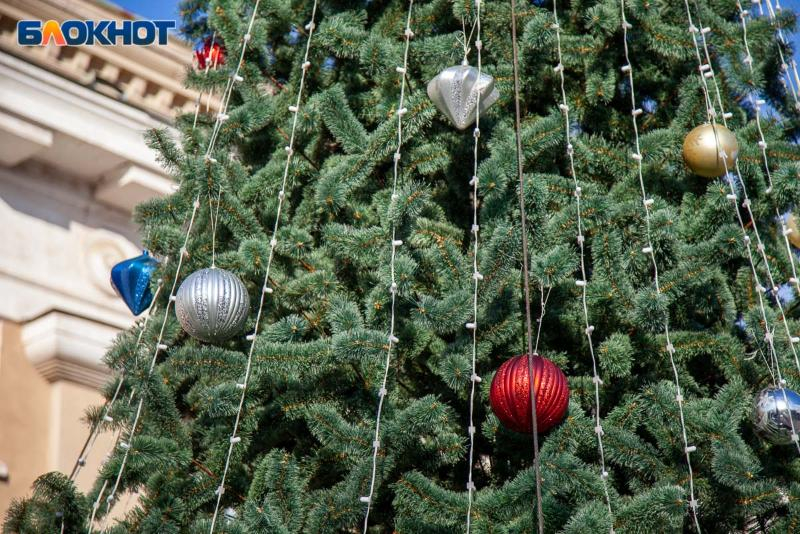 Можно Ли В Новогоднюю