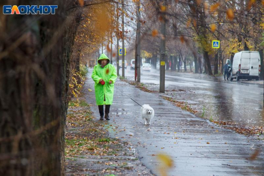 Погода волжский ноябрь